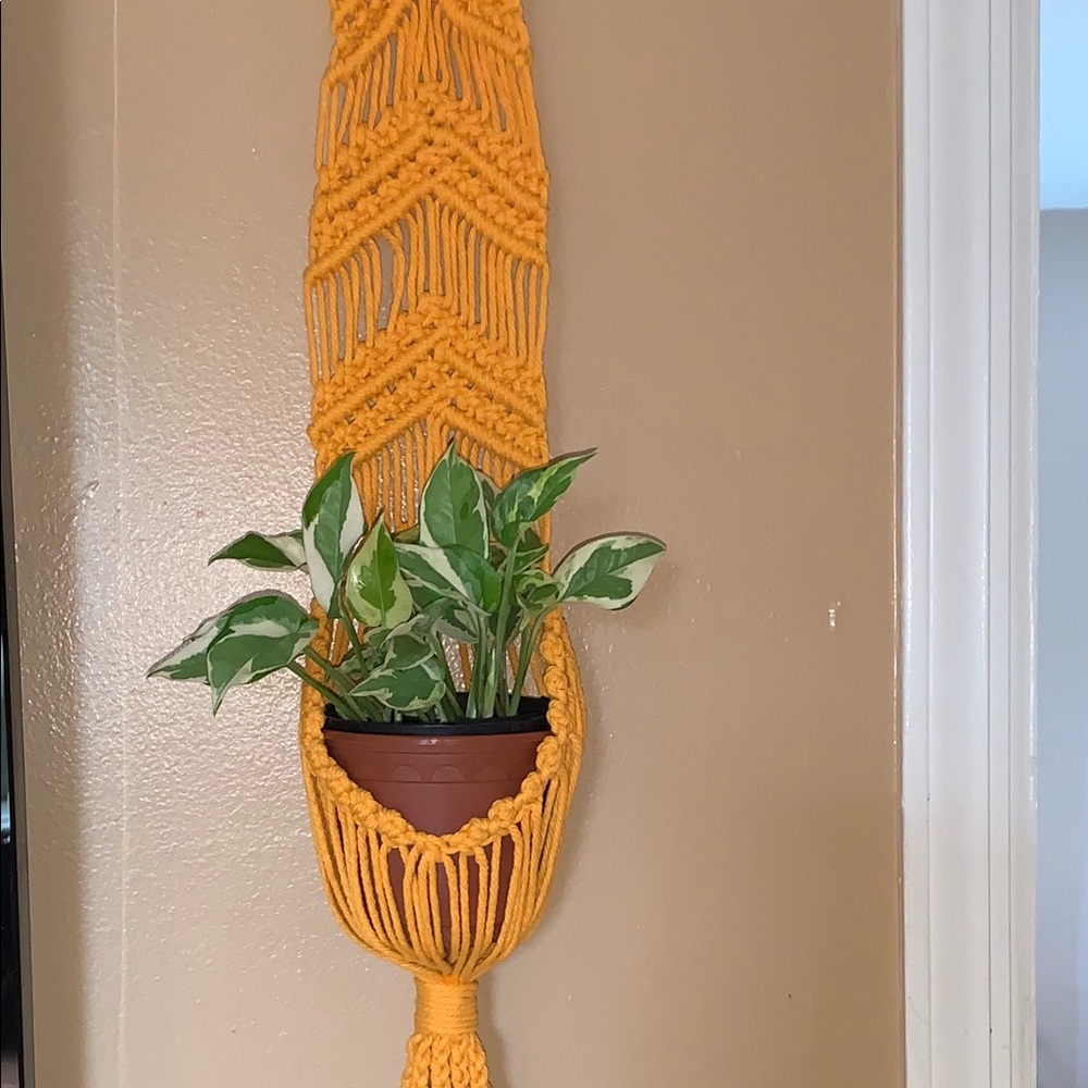 Macrame hanger plants
